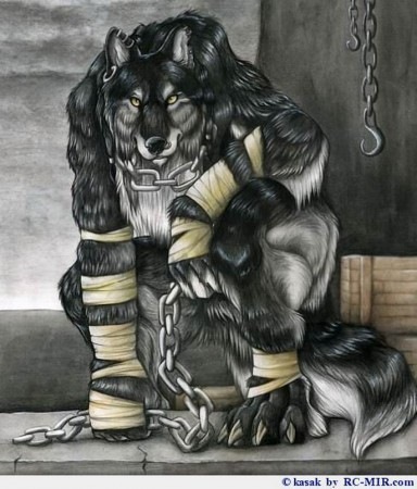 Юрій Здоровець фото профиля #6