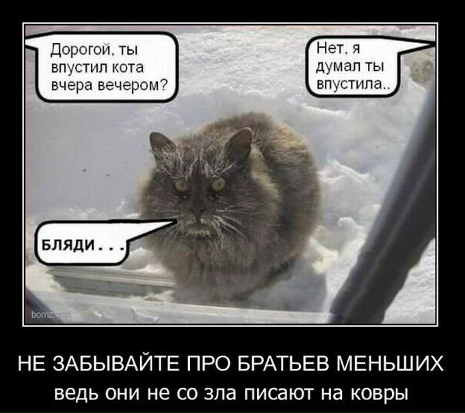 №15, Игорь Игоревич, 37 лет, Москва №15, Игорь Игоревич, 37 лет, Москва