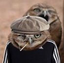 №9, Евгений Гришковец, 18.12.1922, 103 года, Казань, Россия №9, Евгений Гришковец, 18.12.1922, 103 года, Казань, Россия