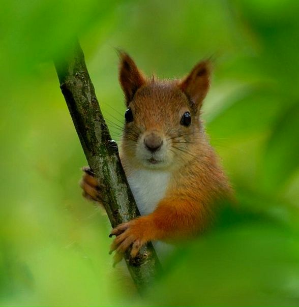 №70, Ирина Басова, Астрахань №70, Ирина Басова, Астрахань