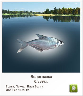 Дима Виноградов ku | Москва