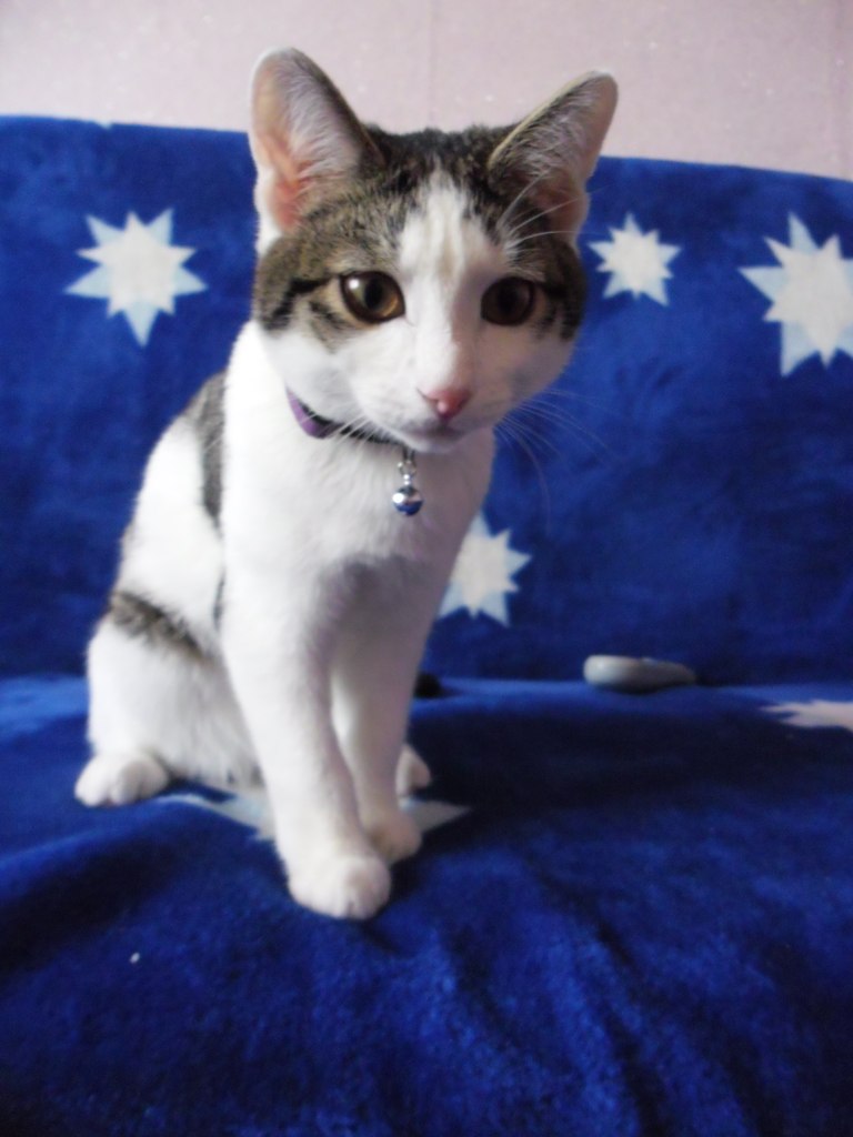 Юлиана Атрошенко | Томск