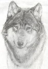 Игорь Солдатов | 