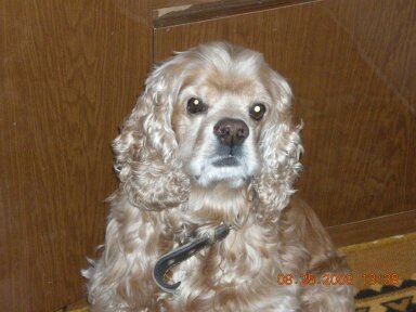 №75, Карина Чекаль, Москва №75, Карина Чекаль, Москва