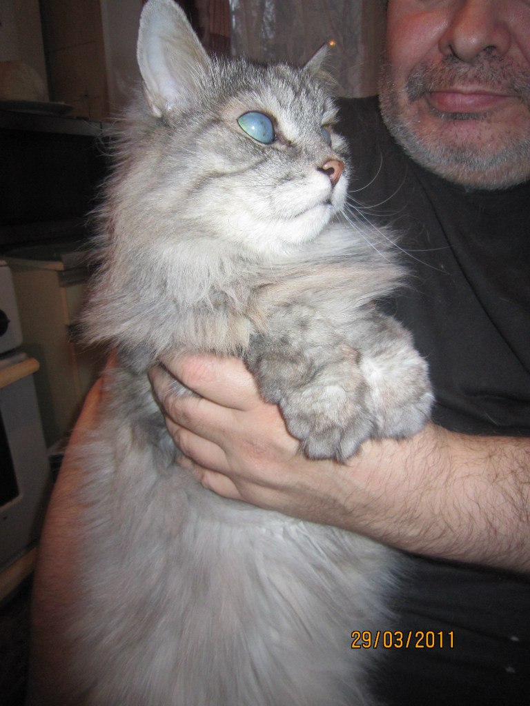 Евгений Колодочкин | Калуга