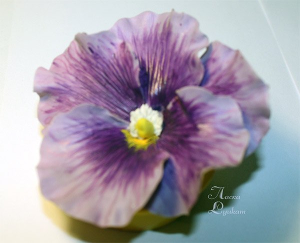 Юлия Смирнова | Люберцы