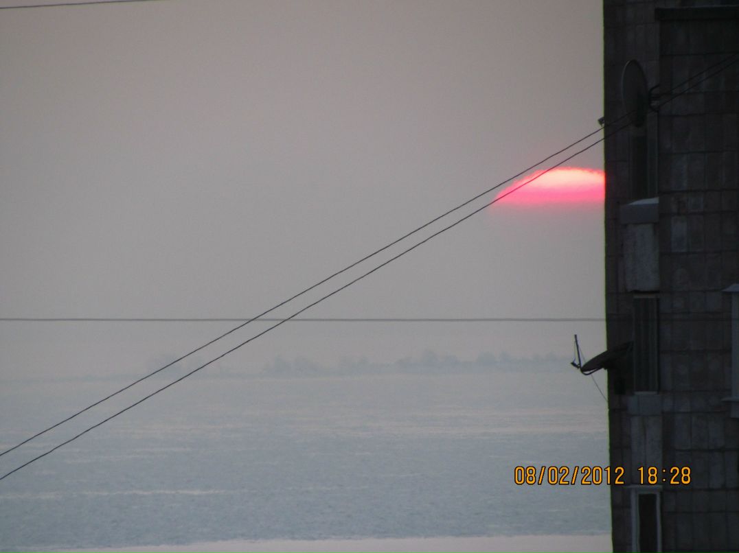 Алексей Аман Аман из Аммана | Санкт-Петербург