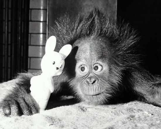 Александр Никшин <--> | Севастополь