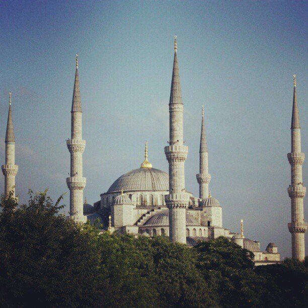 Юра Грибко | Минск