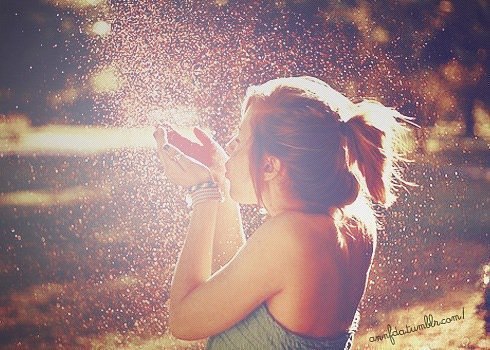 №12, Anka Semion №12, Anka Semion