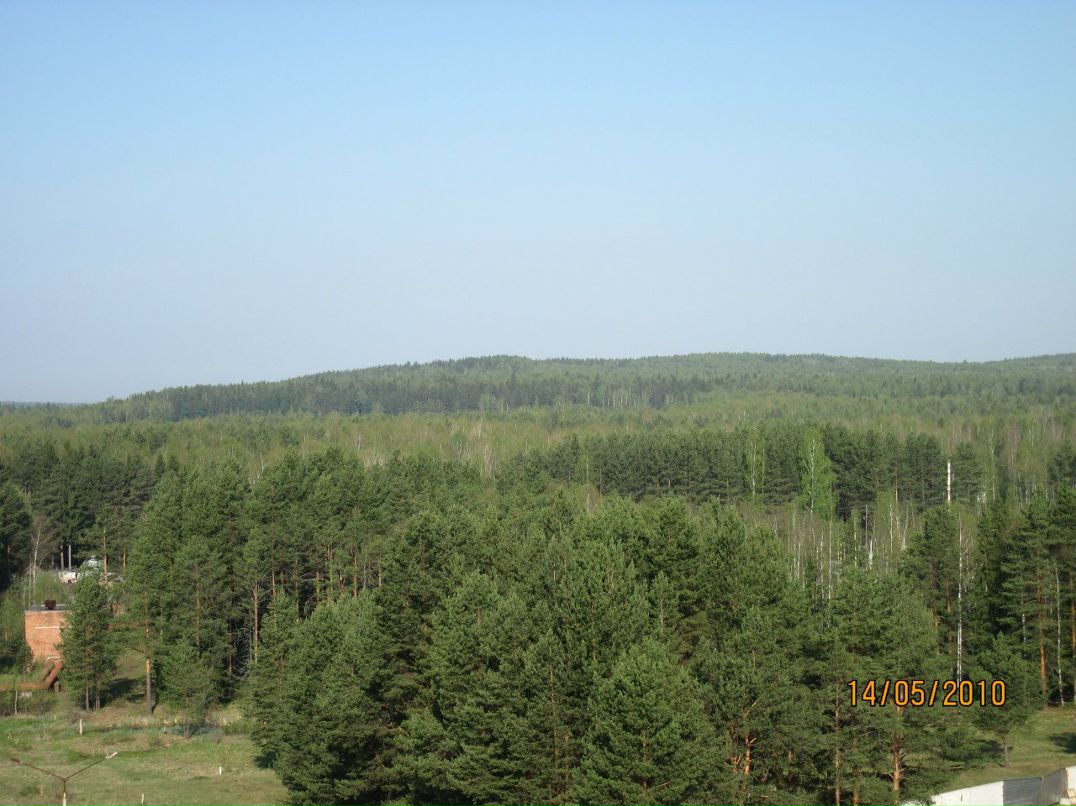 Игорь Зубайдуллин | Лесной