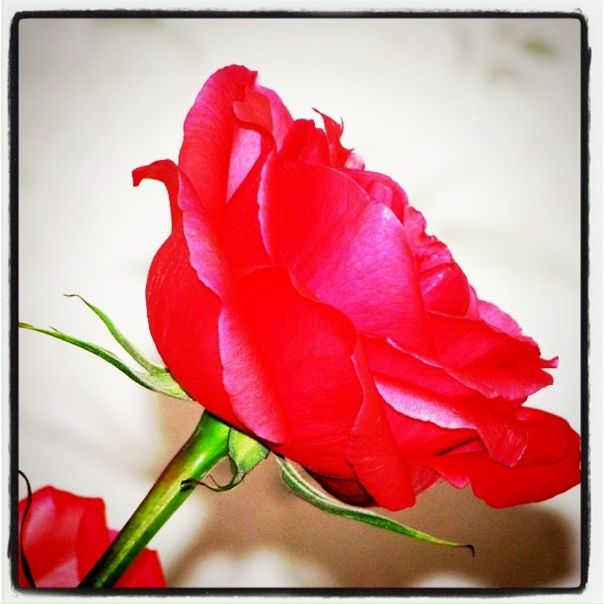 №31, Станислав Светлаков, 43 года, Азов №31, Станислав Светлаков, 43 года, Азов