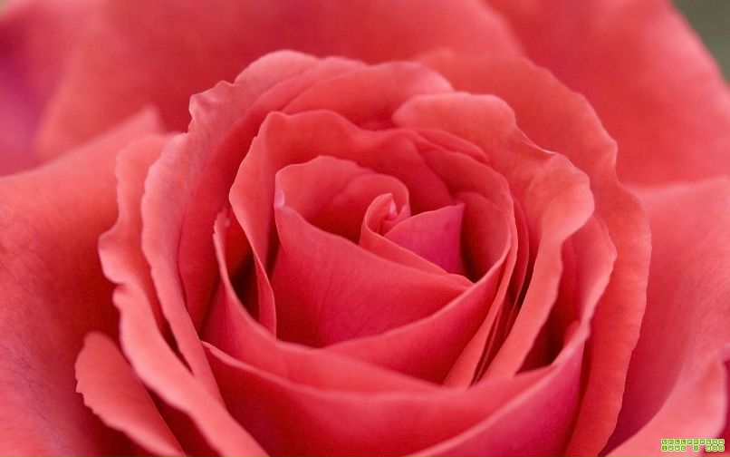 Sun Light | Киев