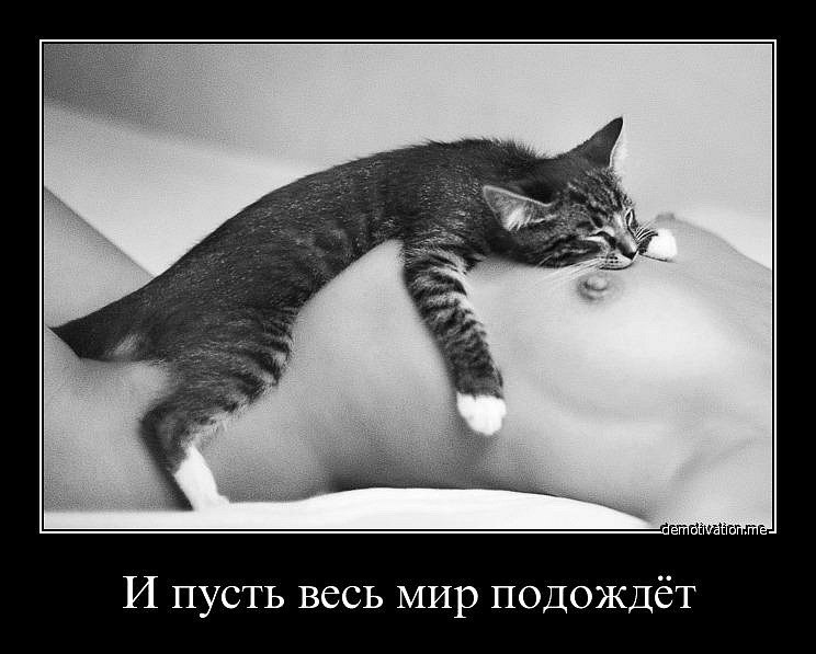 Ольга Лиса | Санкт-Петербург