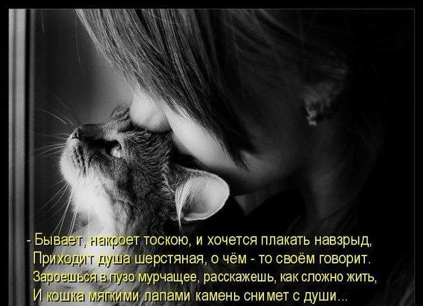 Ирина Трифонова | Сургут