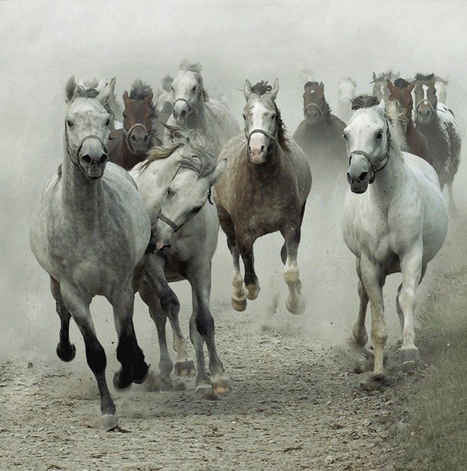 Иван Андросенко | Berlin