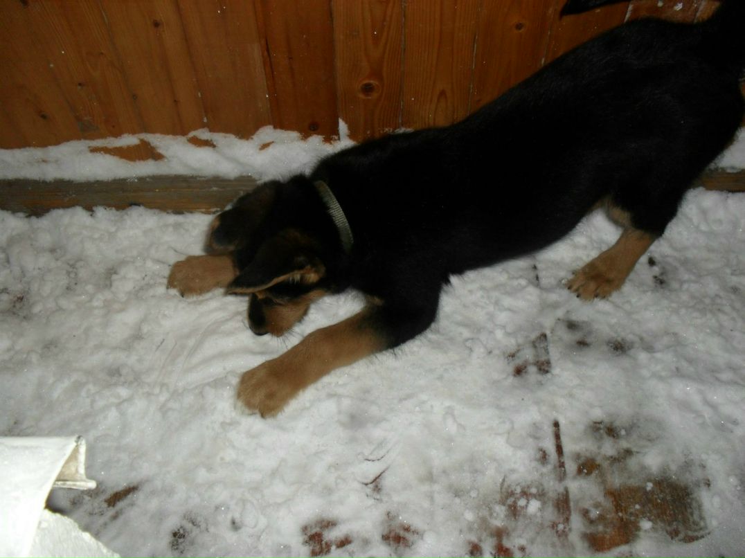 Виталия Кононова | Видное