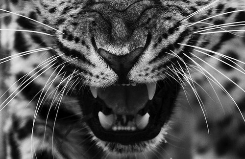 №42, Кристина Буцыкина, 35 лет, Киев №42, Кристина Буцыкина, 35 лет, Киев