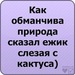 Никита Матвеев фотография #42