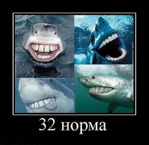 №25, Григорий Благов, 39 лет, Белгород №25, Григорий Благов, 39 лет, Белгород