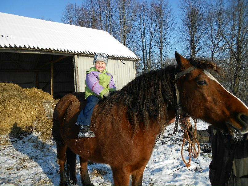 Владимир Мингалеев | Петрозаводск
