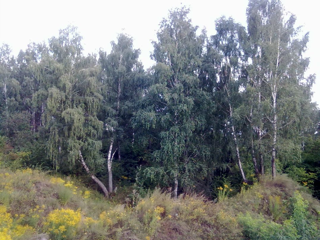 Кирилл Мезинов | Смоленск