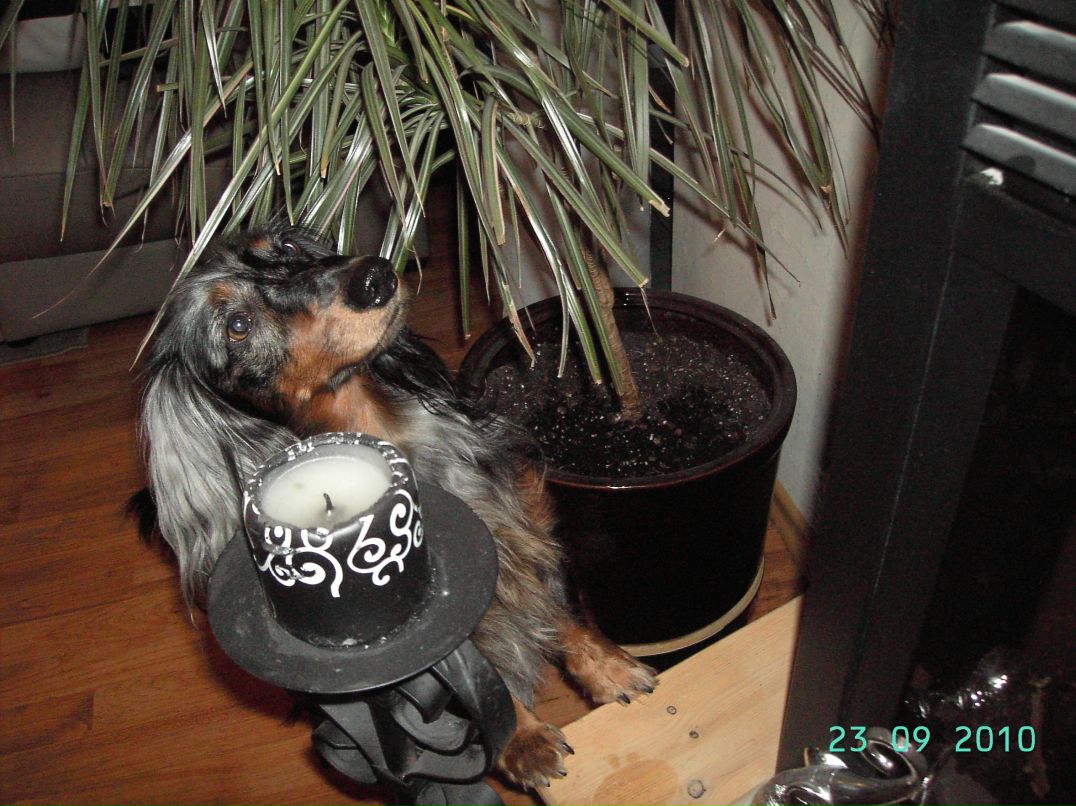 Луиза Акбашева | Санкт-Петербург