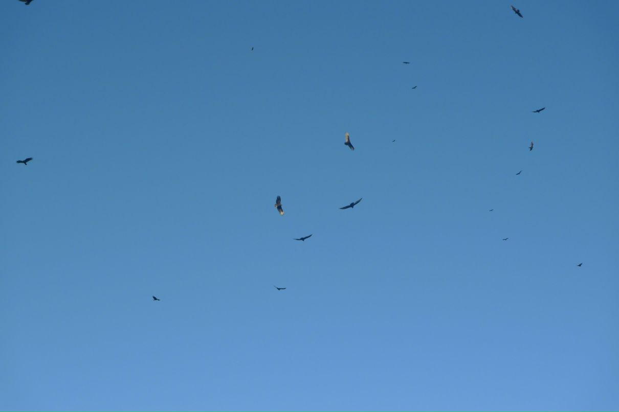 Инесса Акопян | Москва