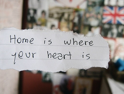 №1, Катя Павлова №1, Катя Павлова