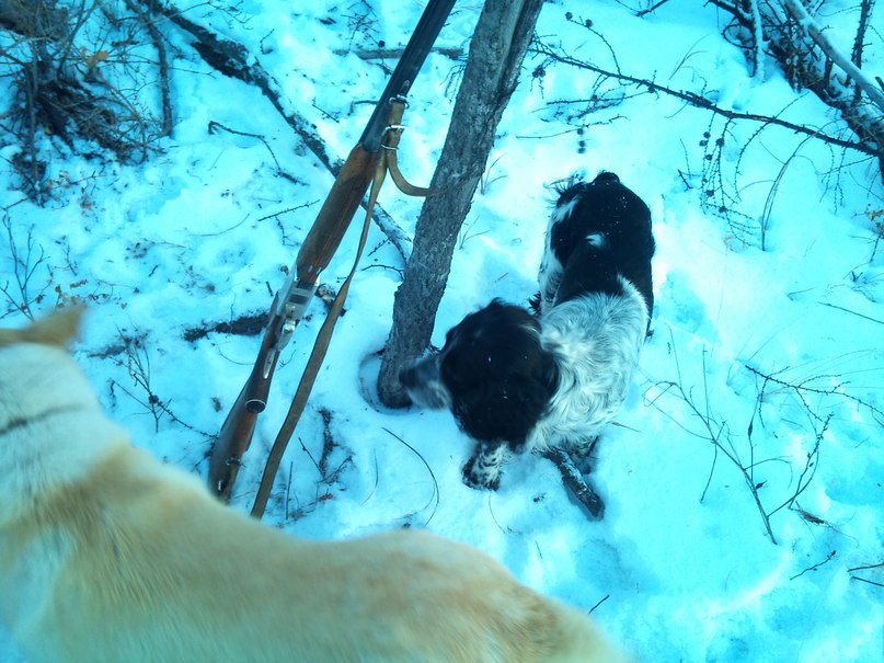 Рома Анциферов | 