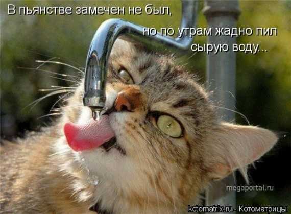 Андрей Ка | Казань