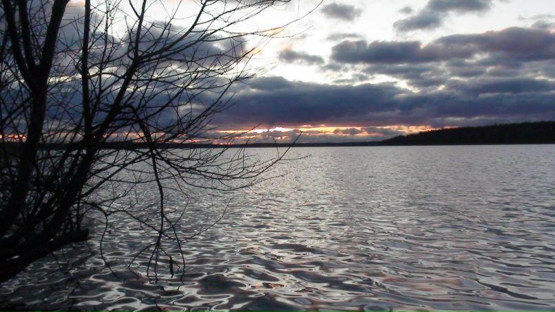 Андрей Саракул | Санкт-Петербург