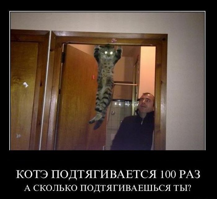 Сергей Мышь | Москва