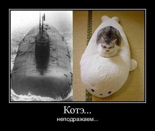 Сергей Иванов | Краснодар