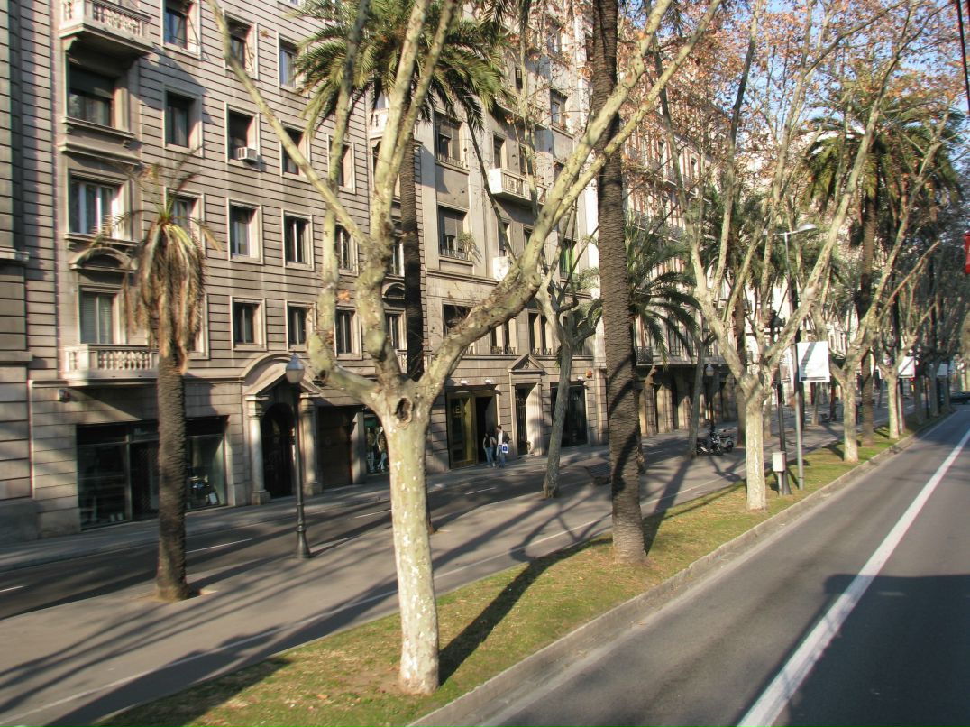 Андрей Телицын | Пермь