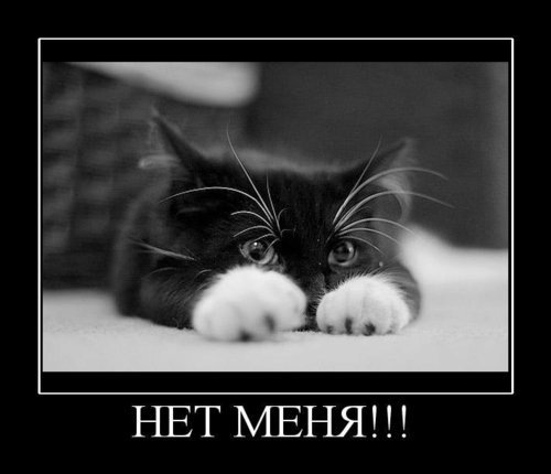 №151, Ирина Потапенко, Николаев №151, Ирина Потапенко, Николаев