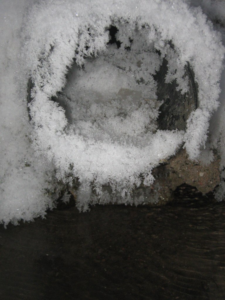 Валерия Вальцифер ☜FOX☞ | Санкт-Петербург