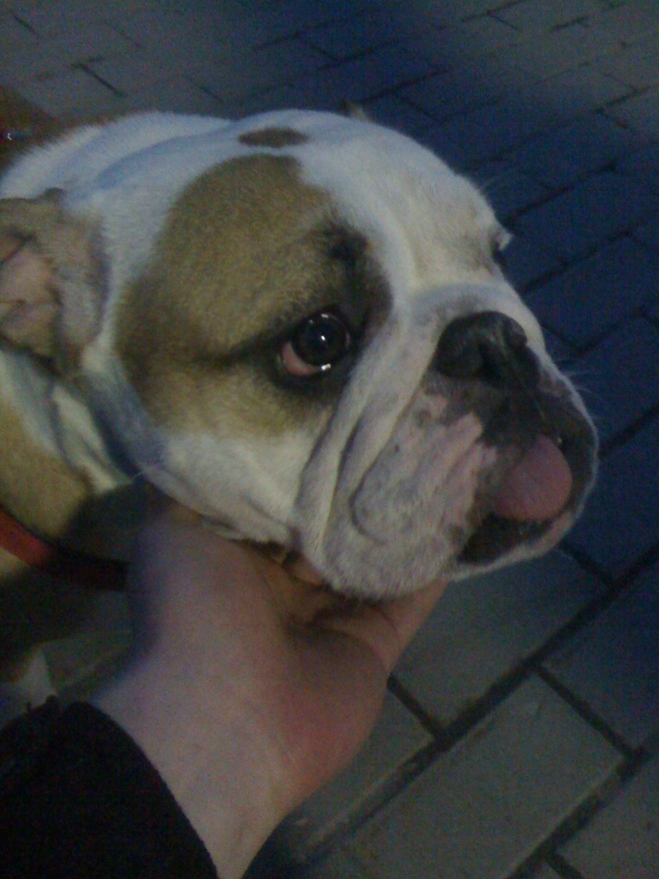 Алексей Долгов | Москва