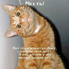№72, Влада Богатая №72, Влада Богатая