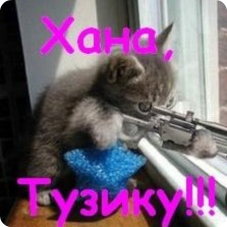Андрей Зиновьев | 