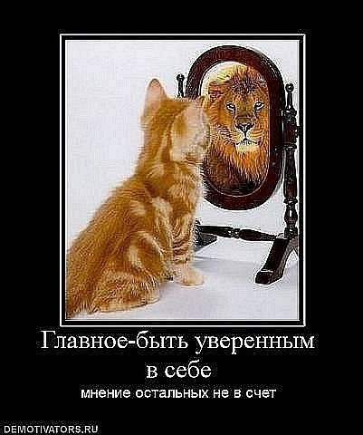 Серёга Кольпиш | Киев