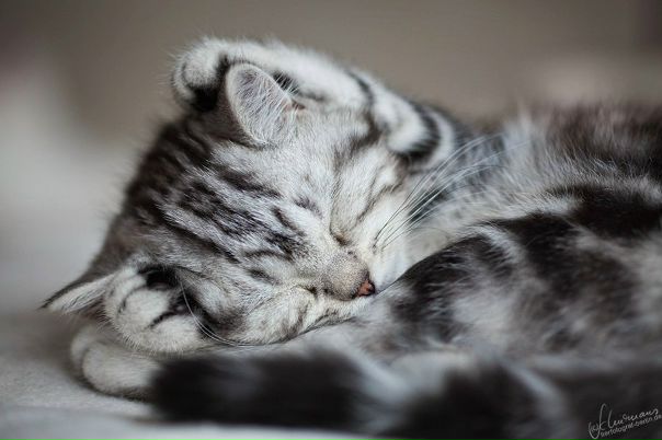 №83, Ксения Игнатенко, 21.07, Красноярск №83, Ксения Игнатенко, 21.07, Красноярск