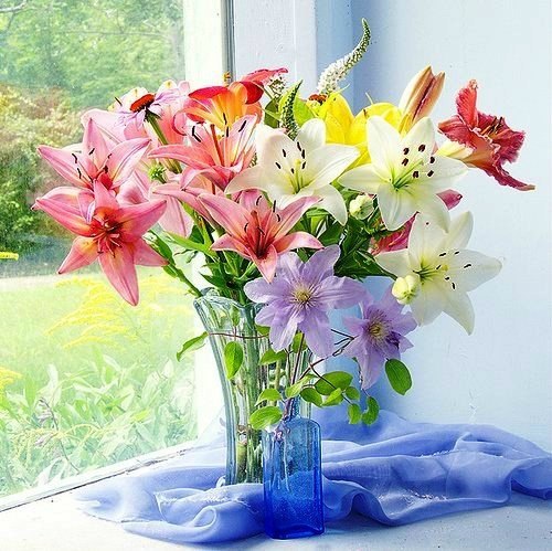 Таня Агаева ღ | Санкт-Петербург