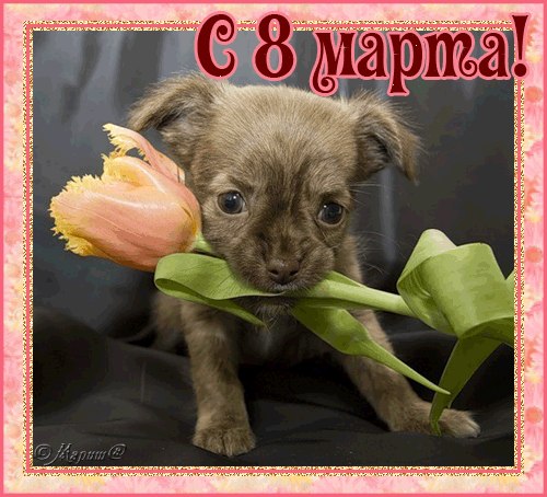 Лидия Сорокивская | Одесса