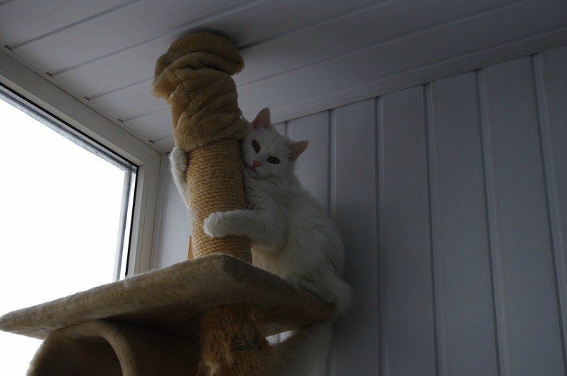 Анна Аносова Александровна | Москва