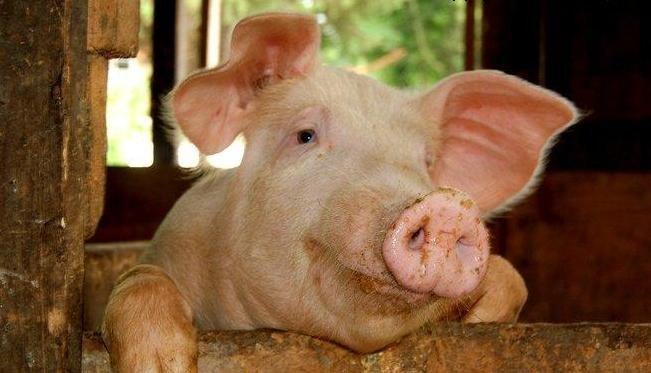 Анна Пашкевич | Екатеринбург