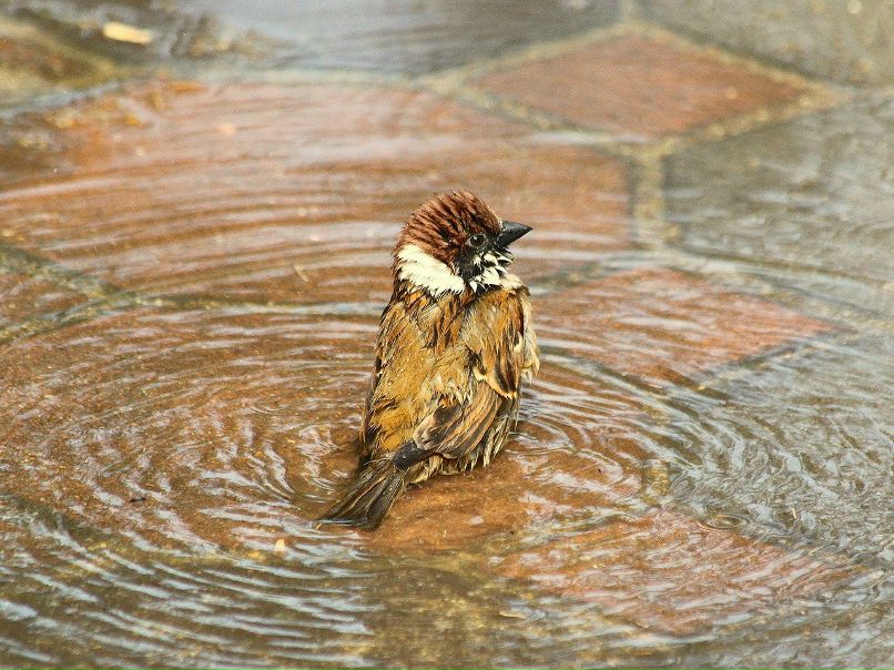 Иван Галкин Graf | Обнинск