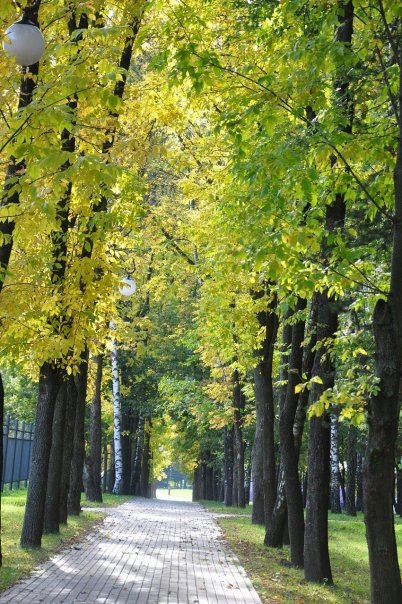 №103, Маша Мишелия, Харьков №103, Маша Мишелия, Харьков