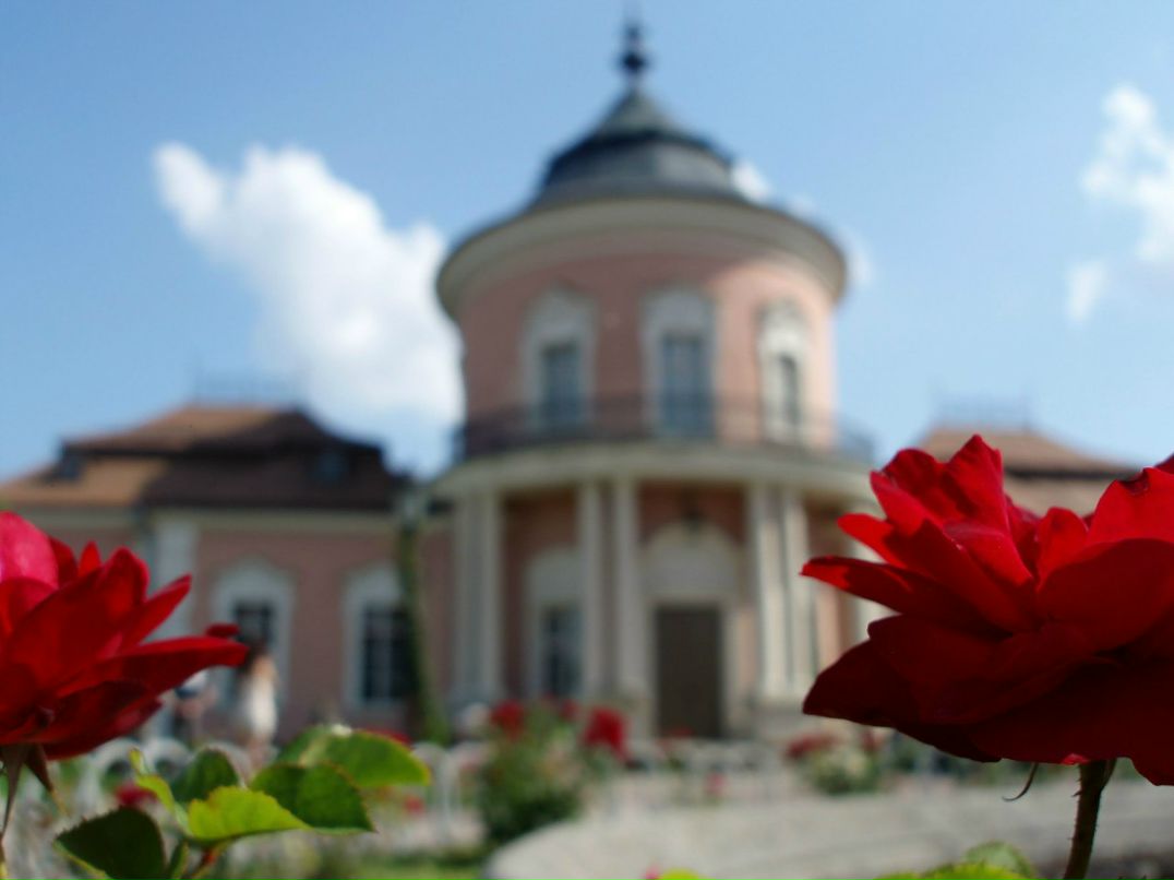 Степан Саранчук | Львов