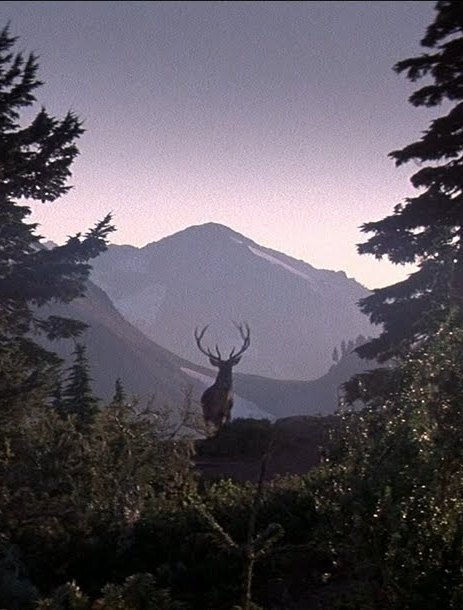 Робо Коп | Москва